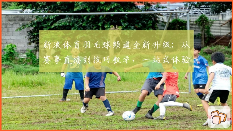 新浪体育羽毛球频道全新升级：从赛事直播到技巧教学，一站式体验指南