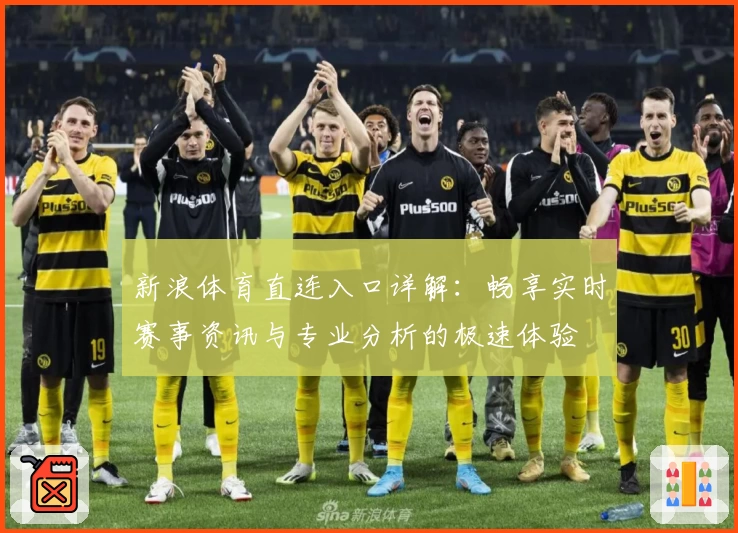 新浪体育直连入口详解：畅享实时赛事资讯与专业分析的极速体验