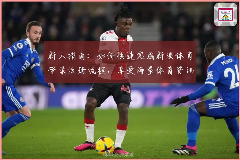 新人指南：如何快速完成新浪体育登录注册流程，享受海量体育资讯