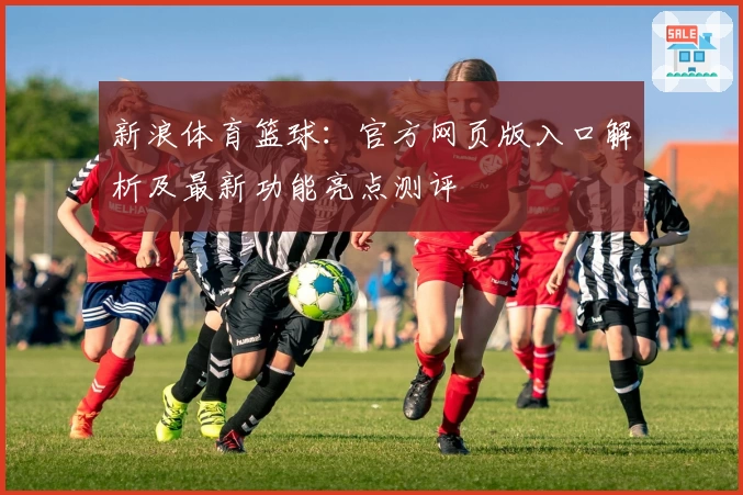 新浪体育篮球：官方网页版入口解析及最新功能亮点测评