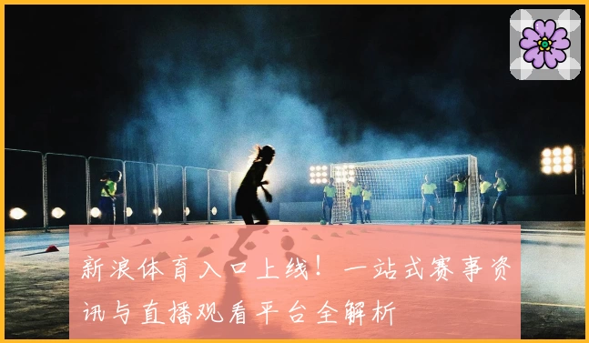 新浪体育入口上线！一站式赛事资讯与直播观看平台全解析