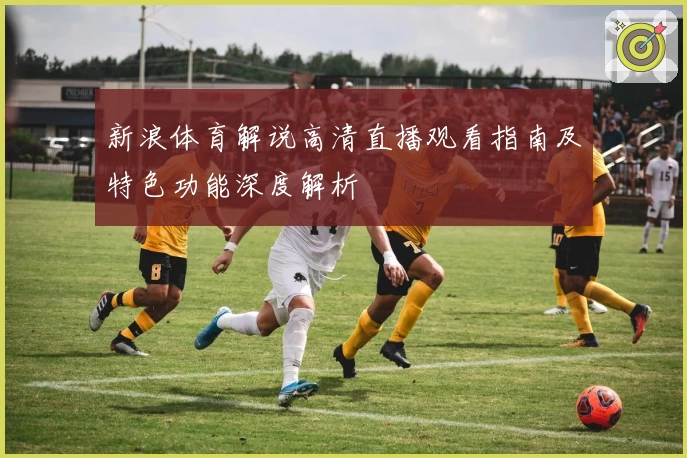 新浪体育解说高清直播观看指南及特色功能深度解析