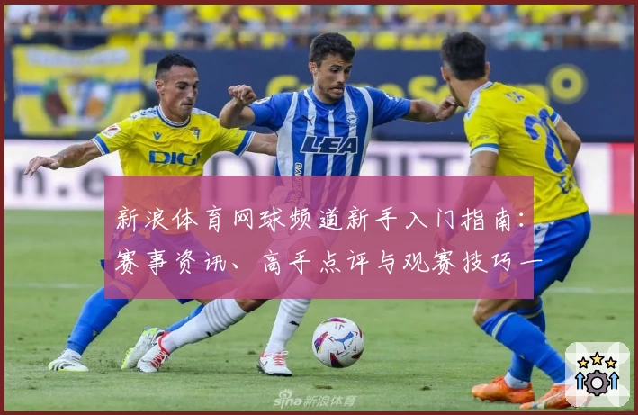 新浪体育网球频道新手入门指南：赛事资讯、高手点评与观赛技巧一站式了解